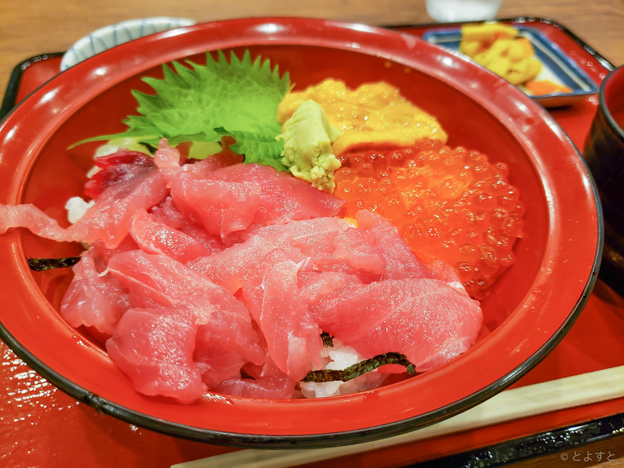 豊洲市場グルメ：「仲家」で指原莉乃が食べた海鮮丼はこれ！混雑で行列も、安くて初心者におすすめの良心的な店