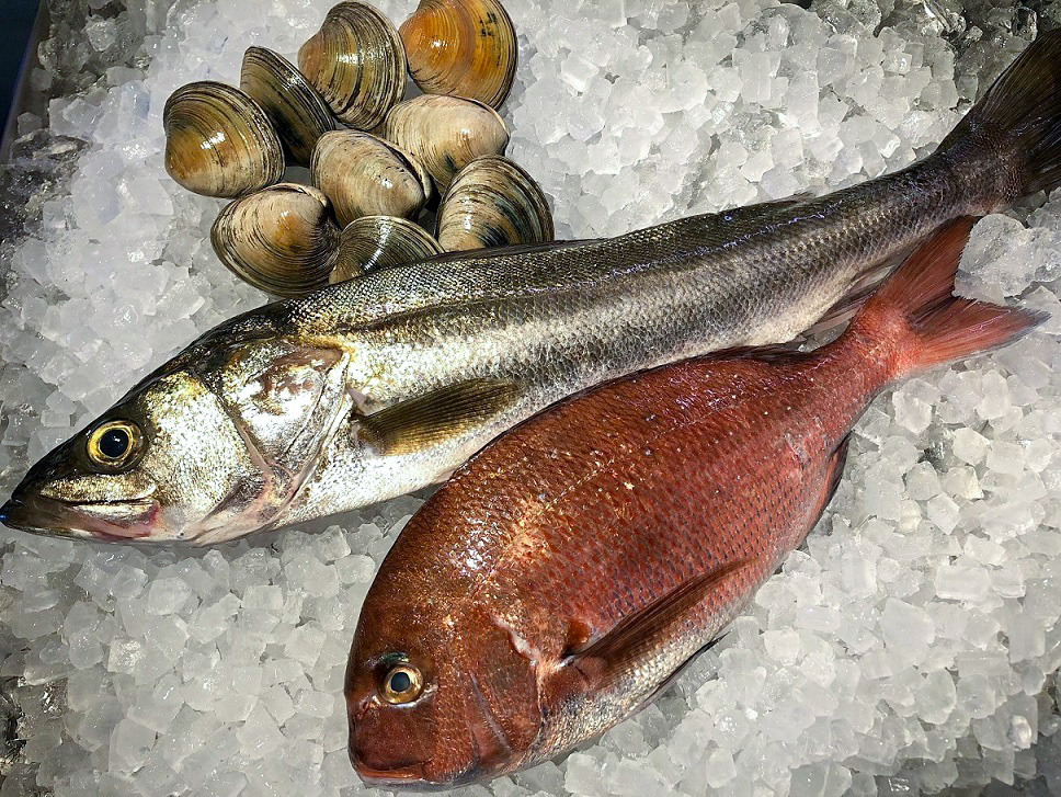 魚が無料で届く 東京湾大感謝祭オンライン料理教室 動画を見ながら自宅で魚をさばこう とよすと