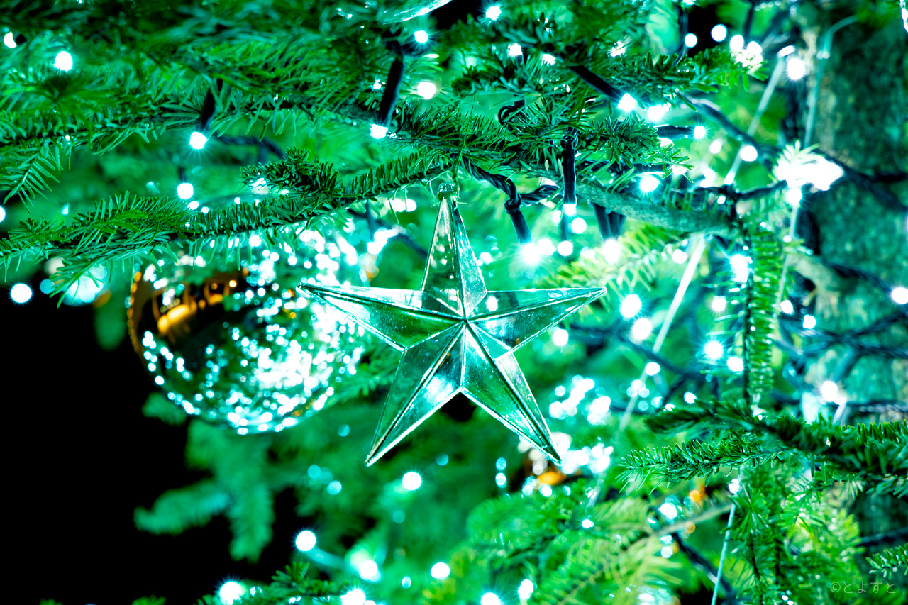 【湾岸Xmas2020】マンションのクリスマスツリーやイルミネーション写真を大募集！