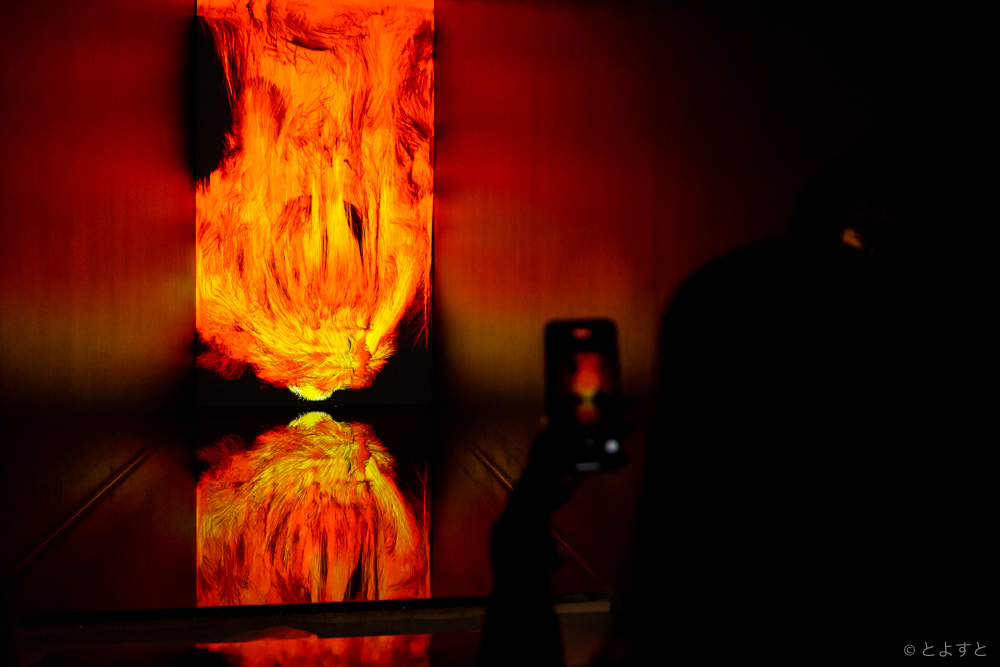燃える炎の新作が豊洲に！「チームラボプラネッツ TOKYO DMM」が2作品を新たに展示へ