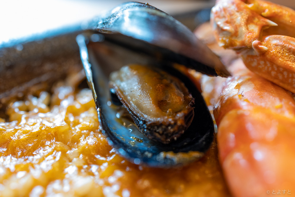 豊洲のスペインレストラン「el Puerto」、土日祝のランチで一番の推しは激うま海鮮パエリア
