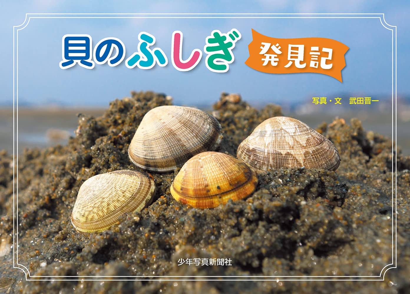 豊洲市場 銀鱗文庫で「貝のふしぎ発見記」写真展とレアな貝に触れる体験イベントを開催！