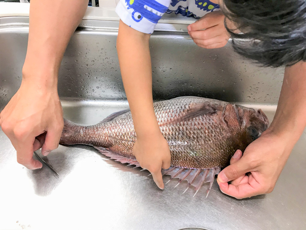 鯛を200匹プレゼント！豊洲市場で教わる「自宅で鯛の塩焼きを作ろう」企画の応募スタート！