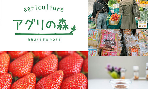 豊洲に栃木の野菜・フルーツをそろえた「アグリの森直売所」が3ヵ月限定オープン！