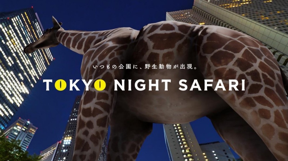 豊洲が自動運転＆ナイトサファリの実証実験場に！「TOKYO NIGHT SAFARI」、1回500円で乗れる