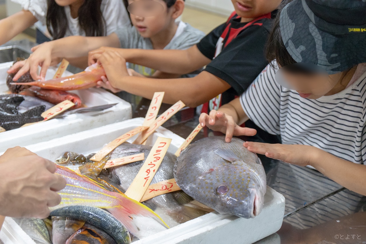 豊洲市場、夏休みに子ども向けイベント「こどもいちば教室」の受付開始！市場見学と料理実習を楽しめる