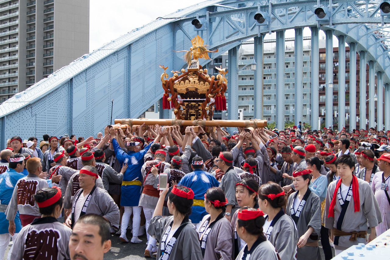 深川八幡祭写真集 昭和56年 下町タイムス社 水かけ祭り 富岡八幡宮例 