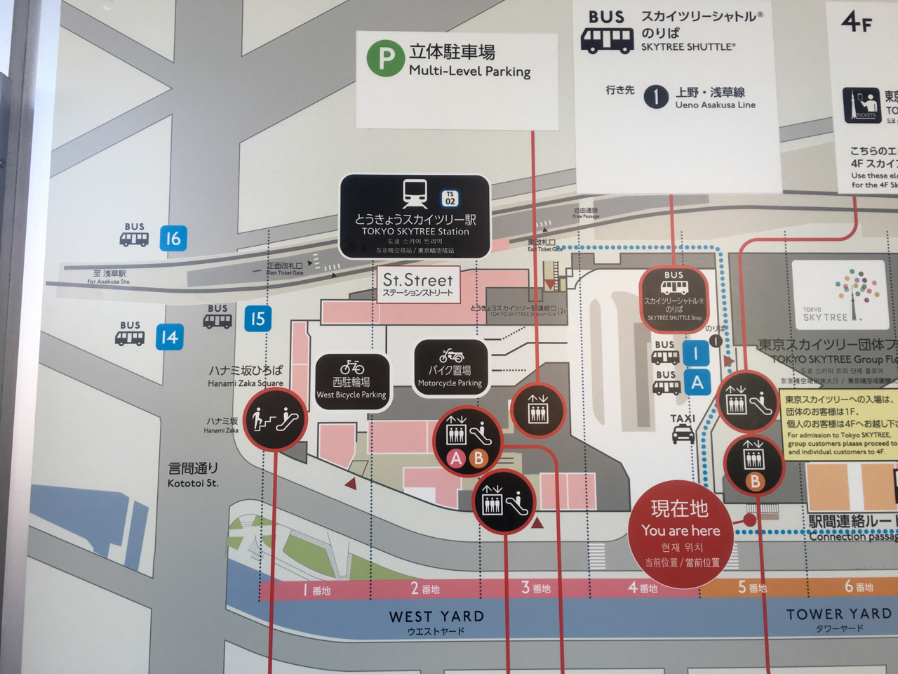 豊洲 スカイツリー間のアクセスは都バスが便利 所要時間 バス停など解説 とよすと