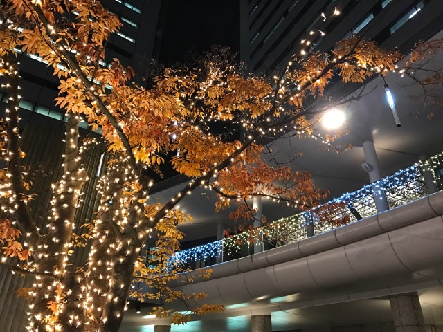 豊洲駅前でクリスマス・イルミネーションが始まっています